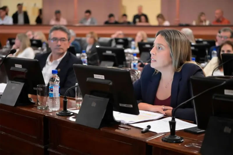 Prevención de la violencia laboral: “Expresa la decisión de no mirar para otro lado”, dijo la diputada Streitenberger