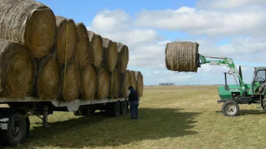 Un trabajador rural falleció tras ser aplastado por un rollo de alfalfa en Gualeguay