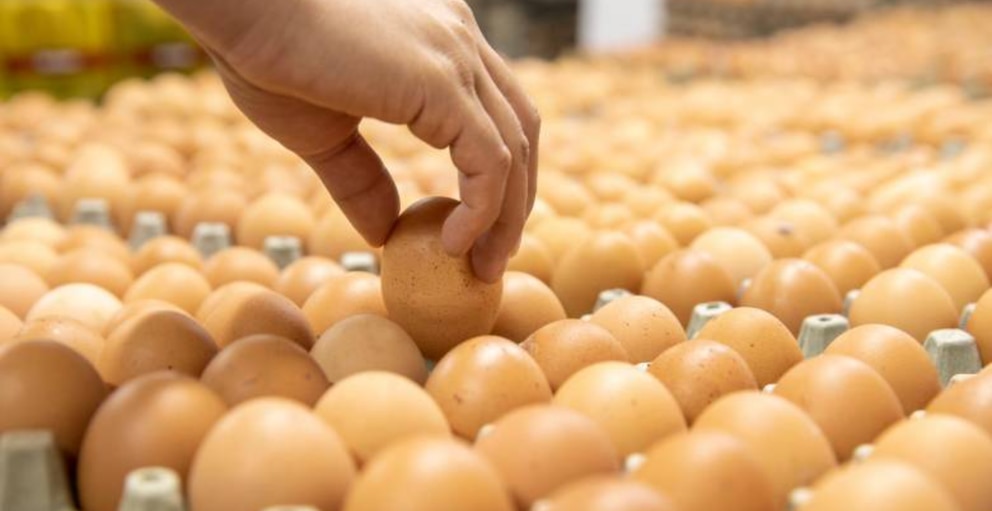 La Argentina lidera el ranking mundial de consumo de huevos: cuál fue el promedio por persona en 2025