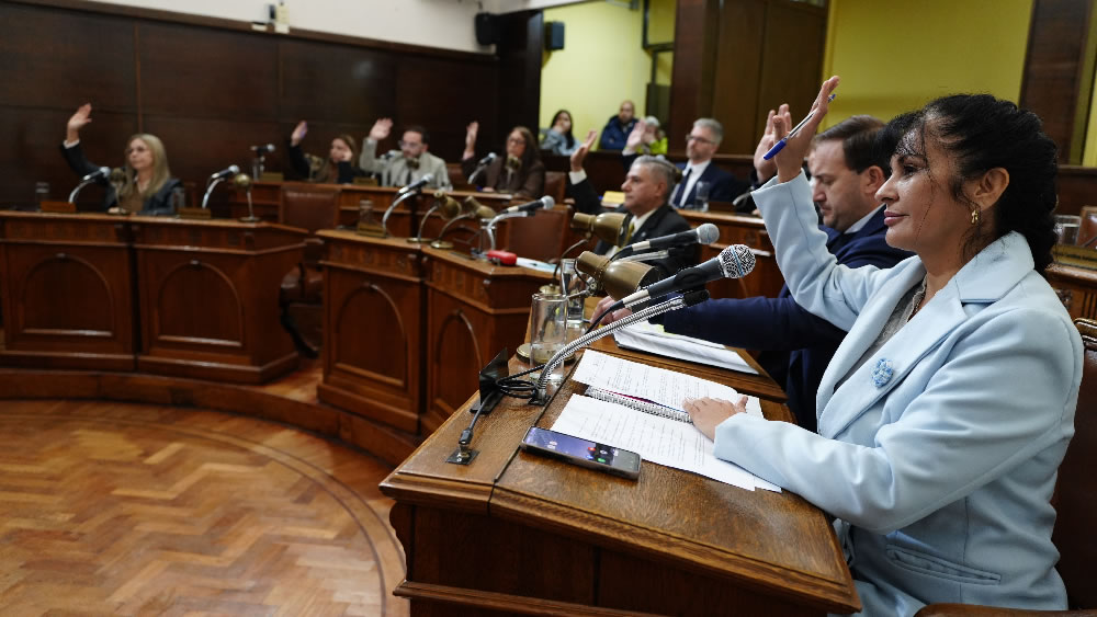Se aprobó por unanimidad la nueva Ordenanza de Procedimiento Administrativo Municipal