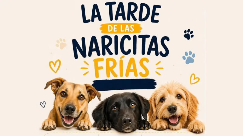 “La Tarde de las Naricitas Frías”: jornada solidaria por el Día del Animal en la Costanera