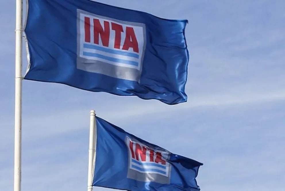 INTA Entre Ríos: Advierten que el retiro voluntario dejará áreas técnicas sin cobertura