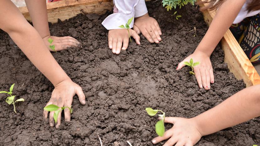 Desarrollo Productivo y la Fundación Huerta Niño impulsan el Programa “Huerta Escuela” en los CDI de Concordia