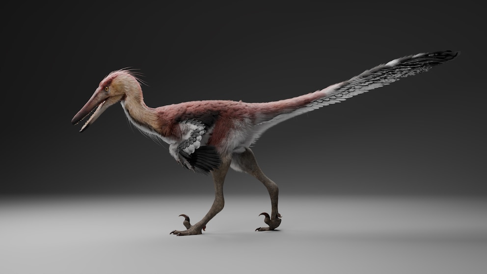 Descubren en el sur de la Patagonia un dinosaurio raptor que conecta la Argentina con la Antártida