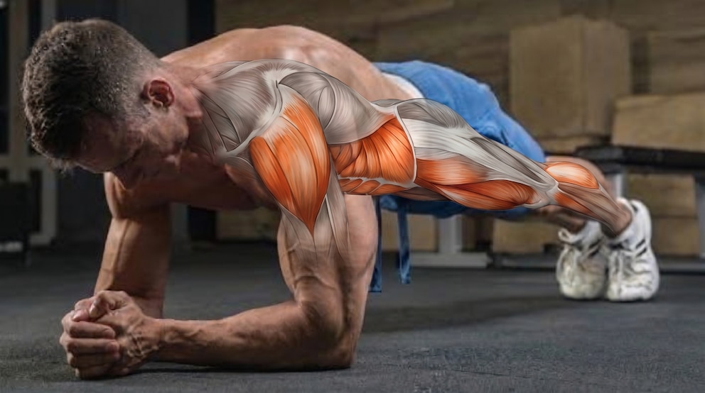 Por qué el cuerpo deja de responder al ejercicio y cómo evitar que el entrenamiento se vuelva inútil para perder grasa