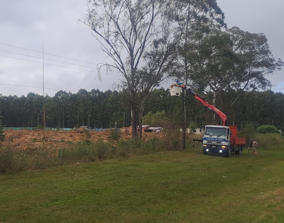 Por tala de un árbol, caido sobre linea de media tensión, Calabacilla y parte de Colonia Yeruá estuvieron sin energía