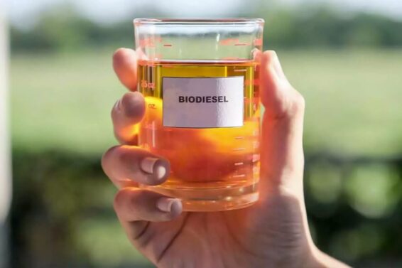 el-nuevo-polo-bioenergetico-proyecta-convertir-residuos-urbanos-en-biodiesel-para-fortalecer-una-matriz-energetica-mas-limpia-foto-gobierno-de-cordoba-ZINKCGXSCJC3XKTAIJP2YI46ZQ