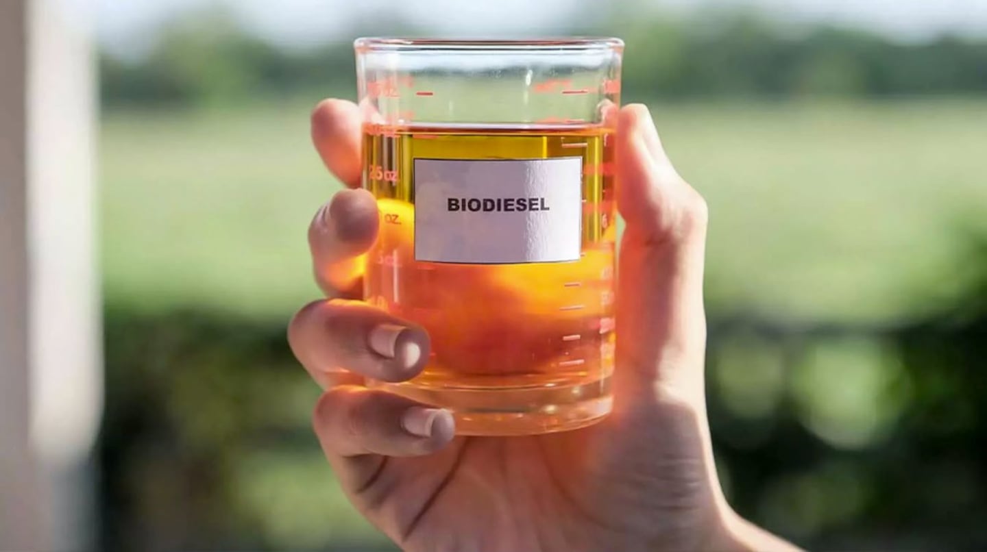 Impulsan un polo pionero que convertirá aceite usado en combustible sustentable
