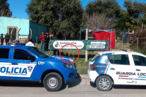 el-perro-en-el-predio-donde-una-nena-de-4-anos-murio-tras-sufrir-multiples-mordeduras-foto-gentileza-eldoce-CAFDLPMZPNC57EXLQSQ73B3MUM