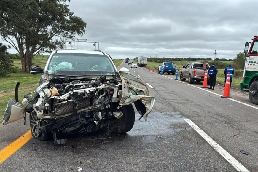 Una camioneta chocó contra un camión tras impactar con un perro en Ruta 14