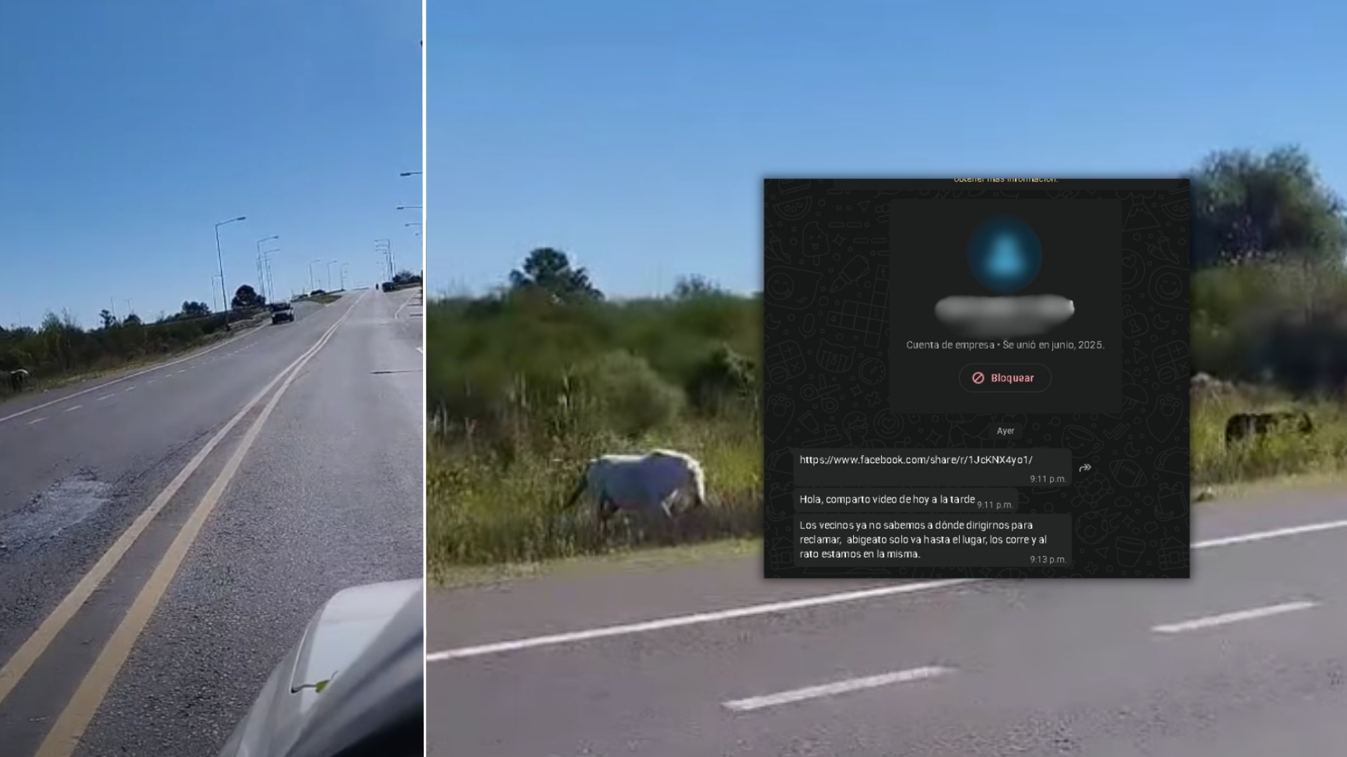Solicitud de vecino N° 93: preocupación por presencia de caballos sueltos en Ruta 14 y Ruta 4 tras un reciente accidente