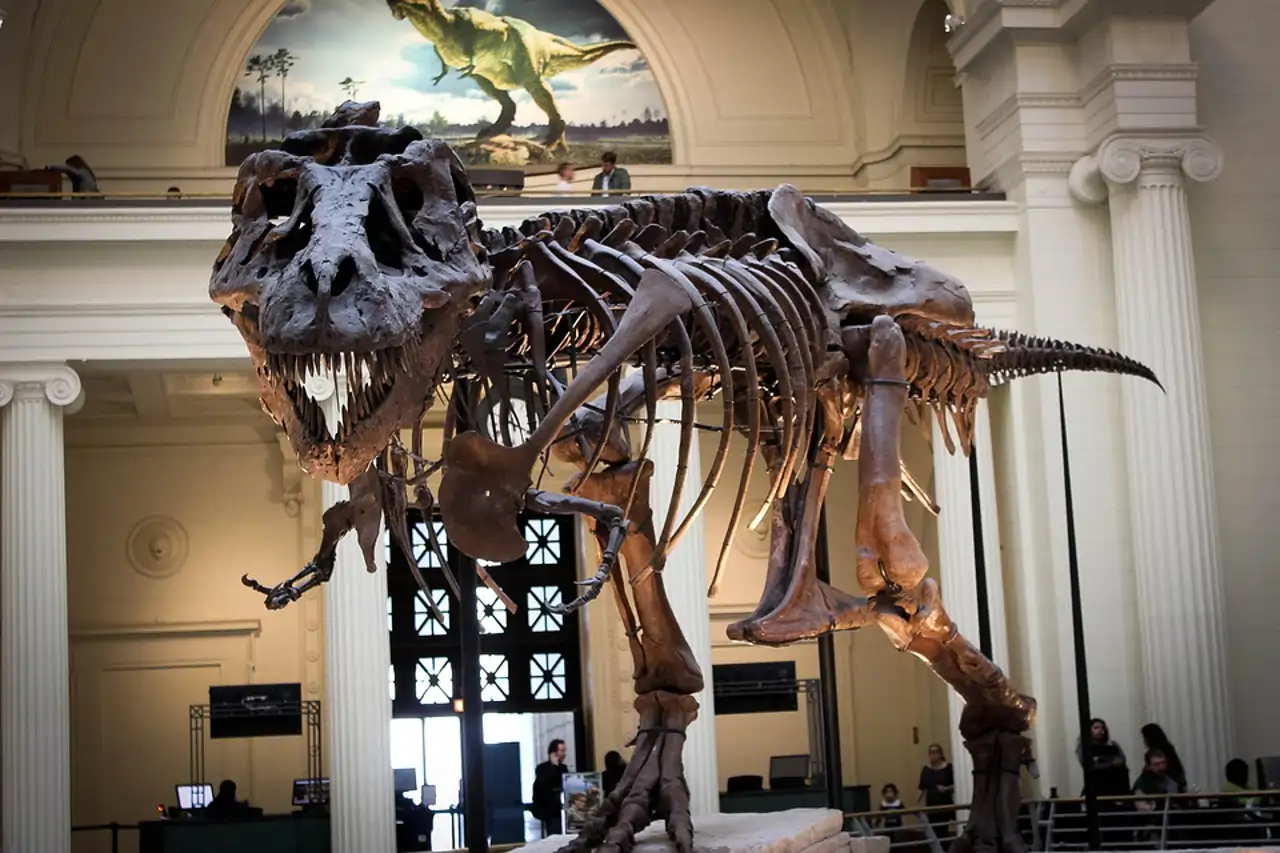 Descubren por qué el T.rex desarrolló brazos diminutos: la clave estaba en algo que hacía cada día
