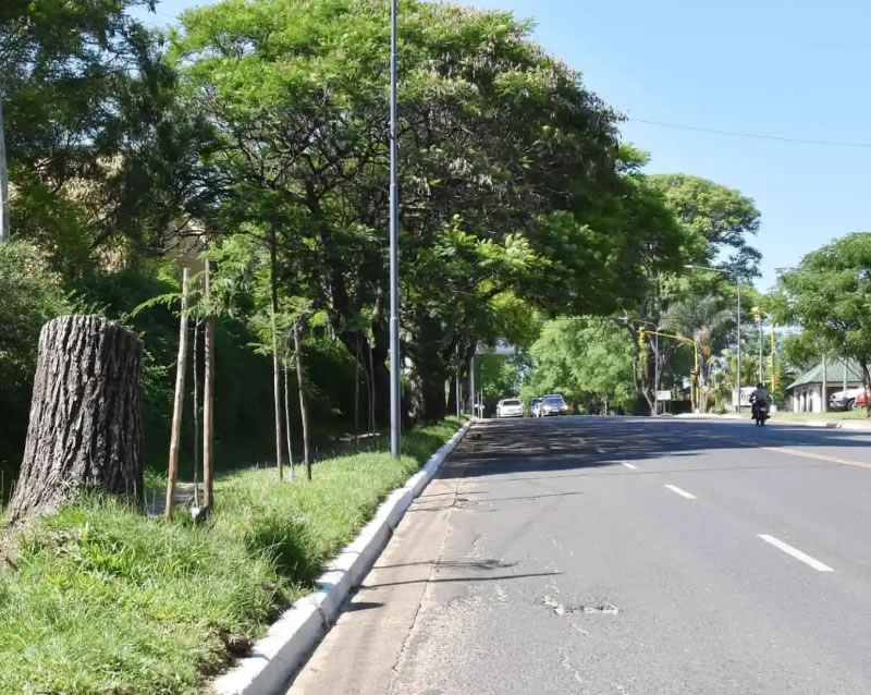 La Avenida Eva Perón estará cortada al tránsito por tareas de poda