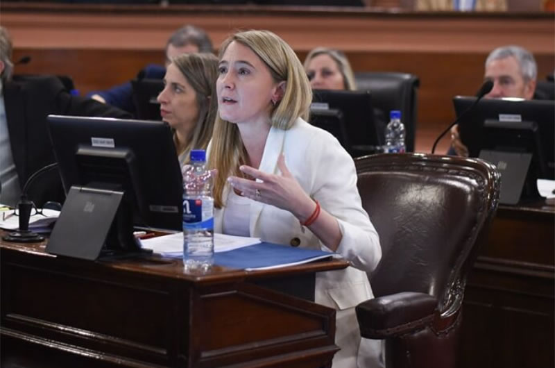 Impulsan la creación de un Programa Provincial de Atención Integral de la Menopausia y el Climaterio