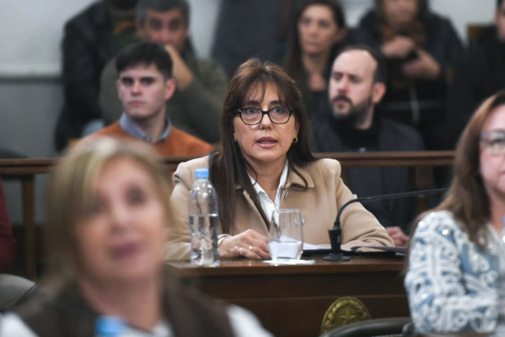 Domínguez le apuntó al PJ por la reforma previsional: «Me quieren echar por debatir mientras sus intendentes proponen reformas»