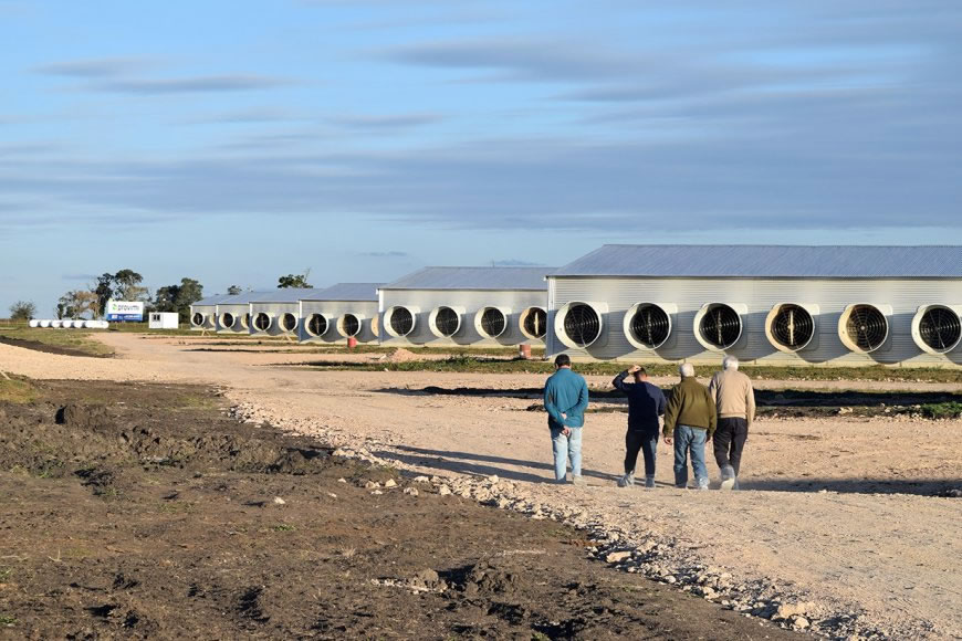 Invierten más de 6 millones de dólares en galpones con tecnología de punta y capaces de alojar 522 mil aves