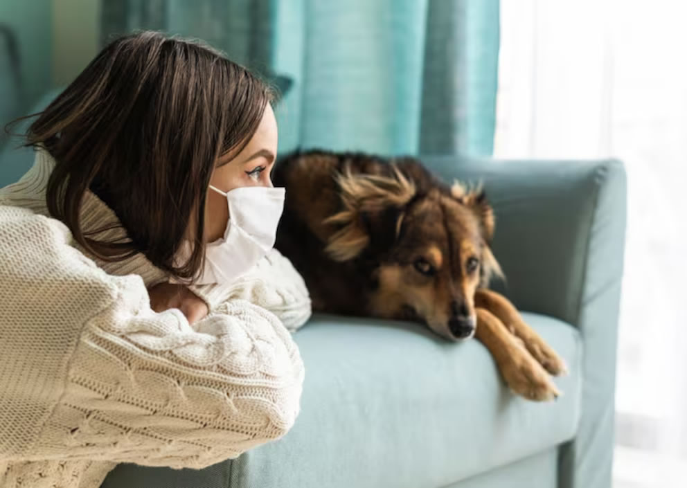 Por qué los perros comen pasto y cuándo es una señal de alerta