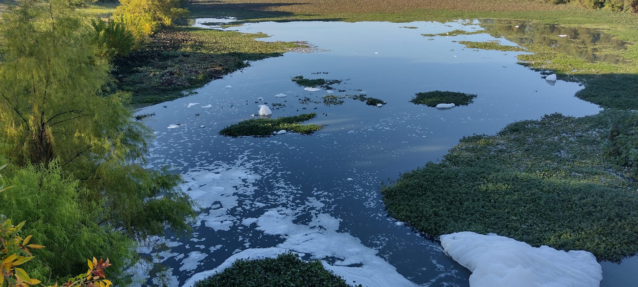 ¿Por qué los humedales serán claves si regresa el fenómeno de El Niño?