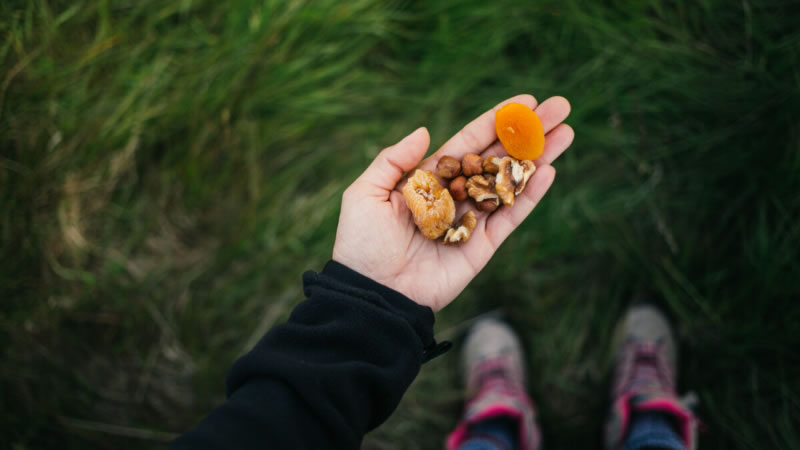 Se realizarán las II Jornadas de Alimentos Silvestres: Innovación y Ciencia para el Desarrollo Sostenible