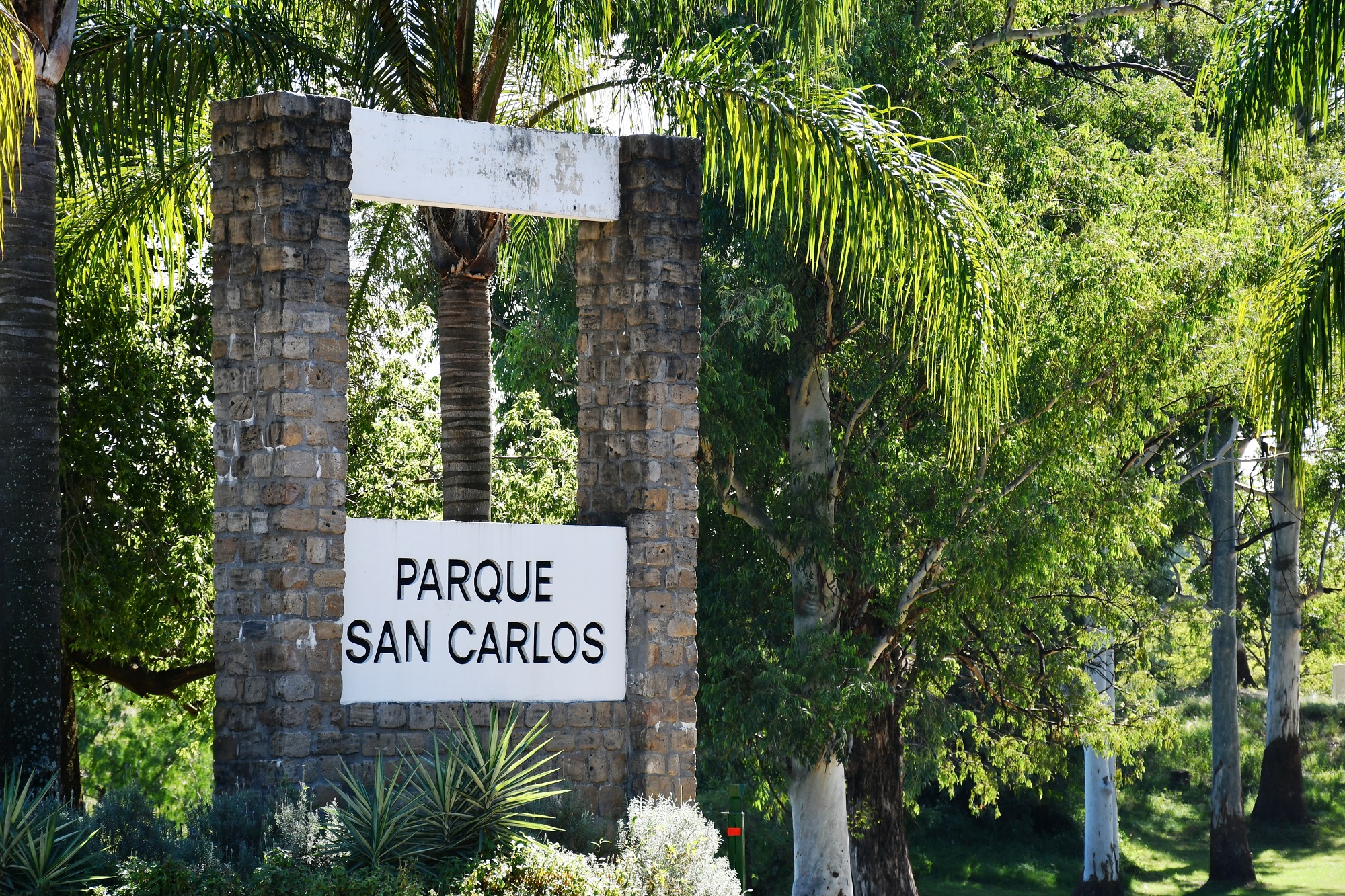 Trabajos de mantenimiento y recuperación ambiental en el Parque San Carlos