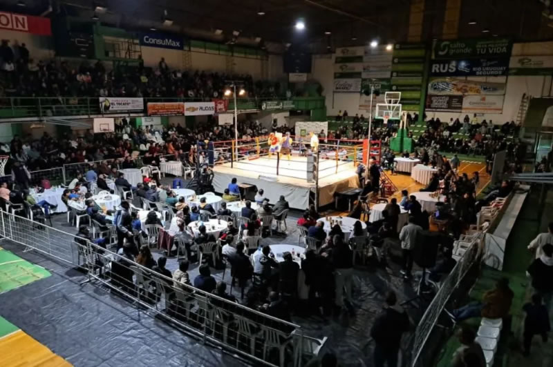 El mejor boxeo profesional vuelve al Gigante Verde con 12 combates