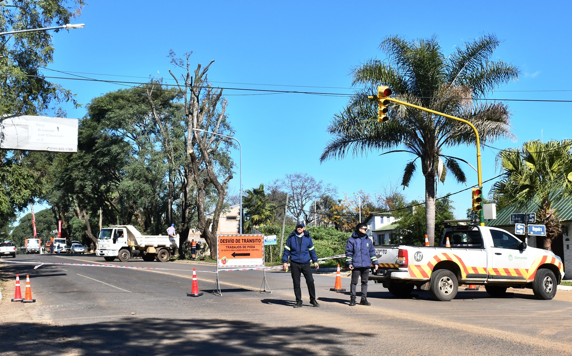 Trabajos de poda obligarán a interrumpir el tránsito en una importante avenida de Concordia