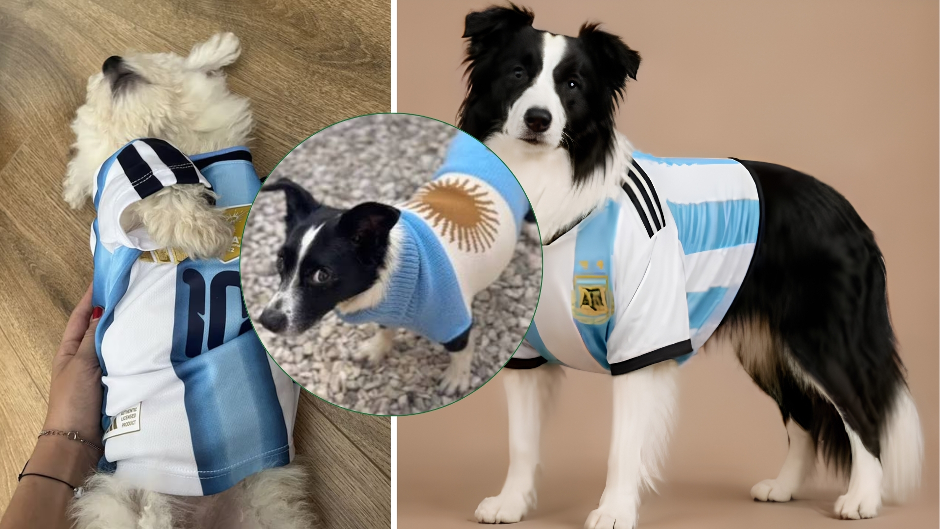 ¿Tu mascota es la más futbolera? Lanzan una divertida convocatoria fotográfica en el Museo de la Imagen