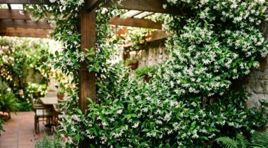 el-jazmin-estrella-es-una-de-las-enredaderas-mas-elegidas-por-su-aroma-intenso-y-sus-flores-blancas-en-forma-de-estrella-imagen-creada-con-ia-5S4IR3ZWSFGOLANEHA7PYNENQA