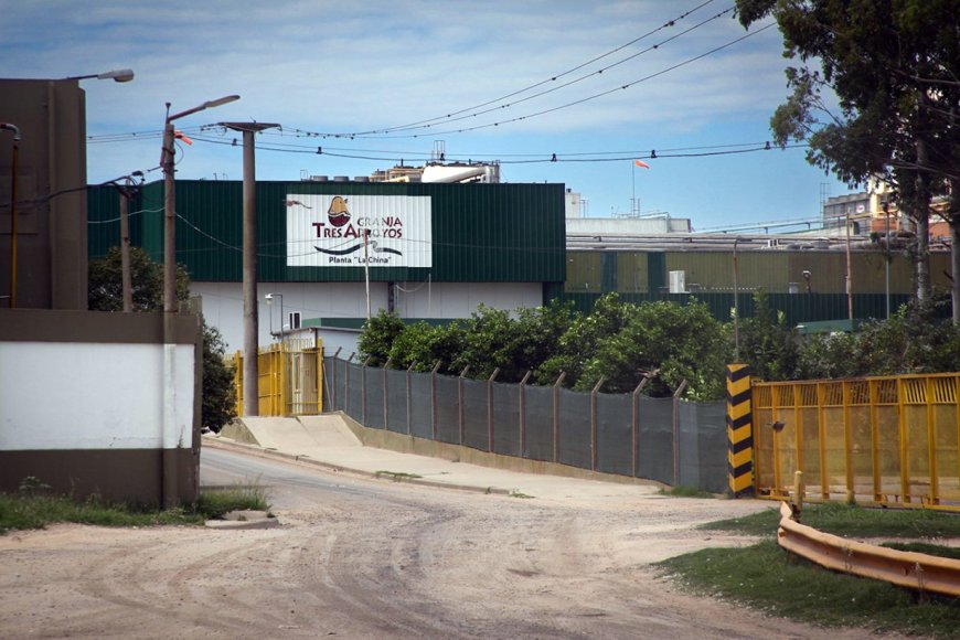 Granja Tres Arroyos implementaría una “reapertura escalonada” de la planta de Concepción del Uruguay