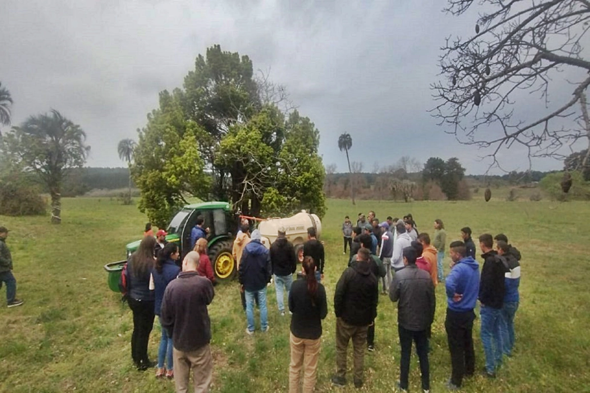 INTA Concordia reveló datos clave sobre el desarrollo y la calidad del pecán en Entre Ríos
