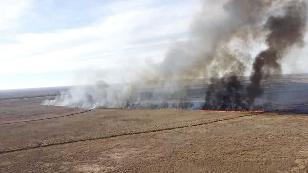 Brigadas entrerrianas asisten en el combate de incendios en la zona del Delta