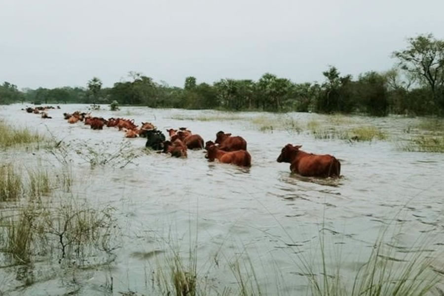La provincia coordina con municipios protocolos preventivos ante el fenómeno de El Niño
