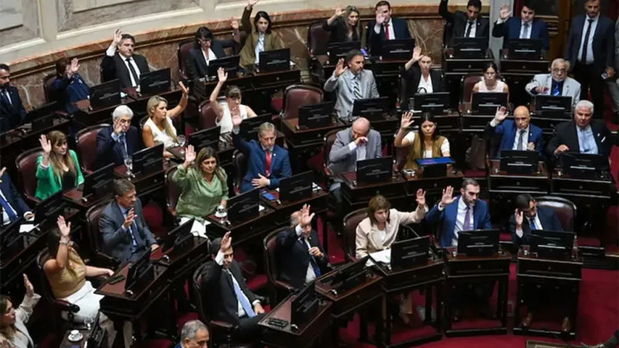 Le ganaron a la inflación: los senadores nacionales cobrarán desde agosto casi 12 millones de pesos por mes