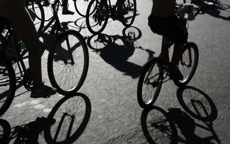 Convocan a participar de una bicicleteada solidaria para ayudar a animales rescatados