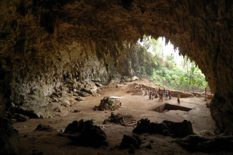 Los «hobbits» prehistóricos podrían haber sobrevivido alimentándose de restos de dragones Komodo