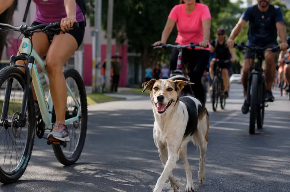 Se postergó la «Bicicleteada Solidaria por un Amiguito»