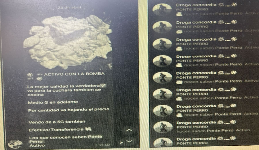 Procesaron a ocho jóvenes acusados de vender drogas a través de un grupo de Telegram