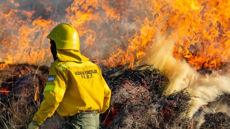 Quieren crear un régimen laboral especial para combatientes de incendios forestales