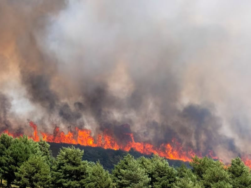 España enfrenta el mayor incendio de su historia desde que hay registros