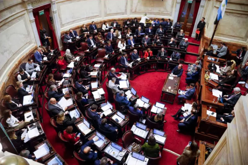 El Senado postergó el debate de la ley de propiedad privada hasta agosto