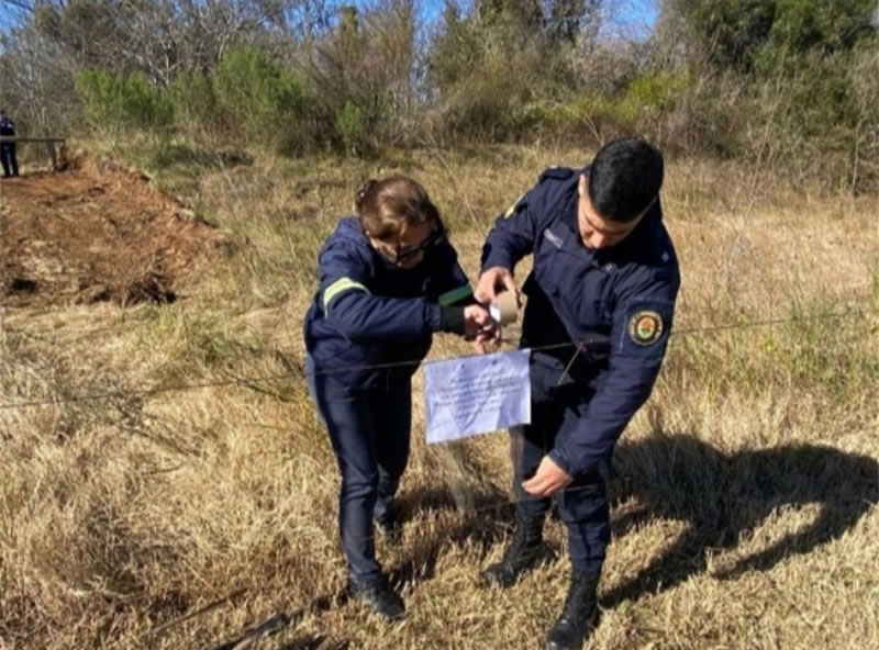 Denunciaron una tala ilegal en el monte nativo protegido de Concepción del Uruguay