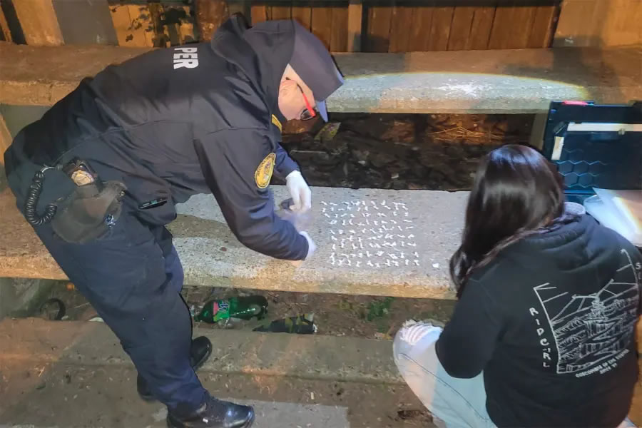 Intentaron ocultar 91 dosis de cocaína entregándole a una menor una media con la droga