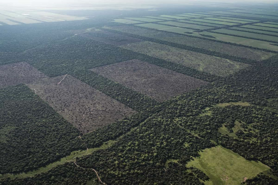 Venta de tierras a extranjeros: el Gobierno ratificó cambios en el proyecto de ley