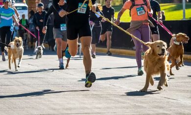 Abrieron-las-inscripciones-para-la-Maraton-Canina-del-29-de-abril-3