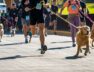 Abrieron-las-inscripciones-para-la-Maraton-Canina-del-29-de-abril-3