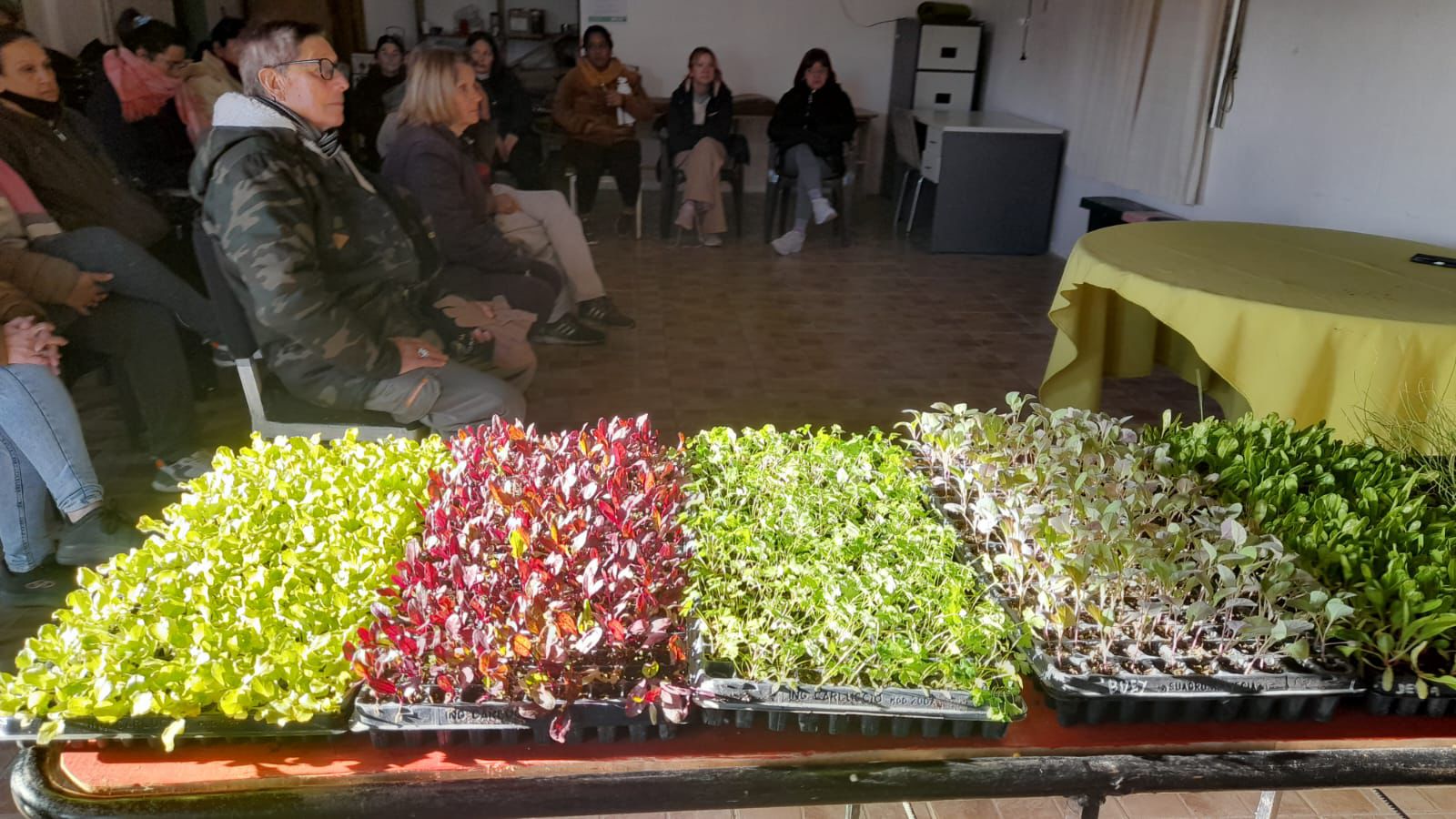 Personas mayores participaron de una capacitación sobre huertas de invierno y alimentación saludable