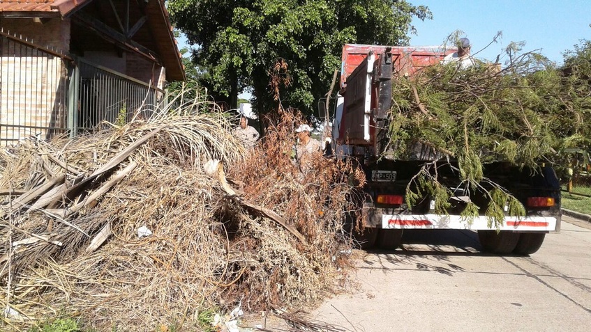 La Municipalidad estableció un cronograma semanal para el retiro de ramas