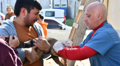 Veterinaria-7