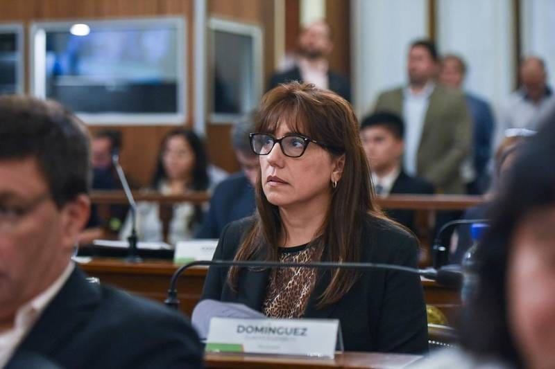 Domínguez: «La responsabilidad política consiste en actuar antes de que el problema sea irreversible»