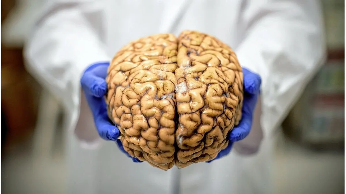 Día del Cerebro